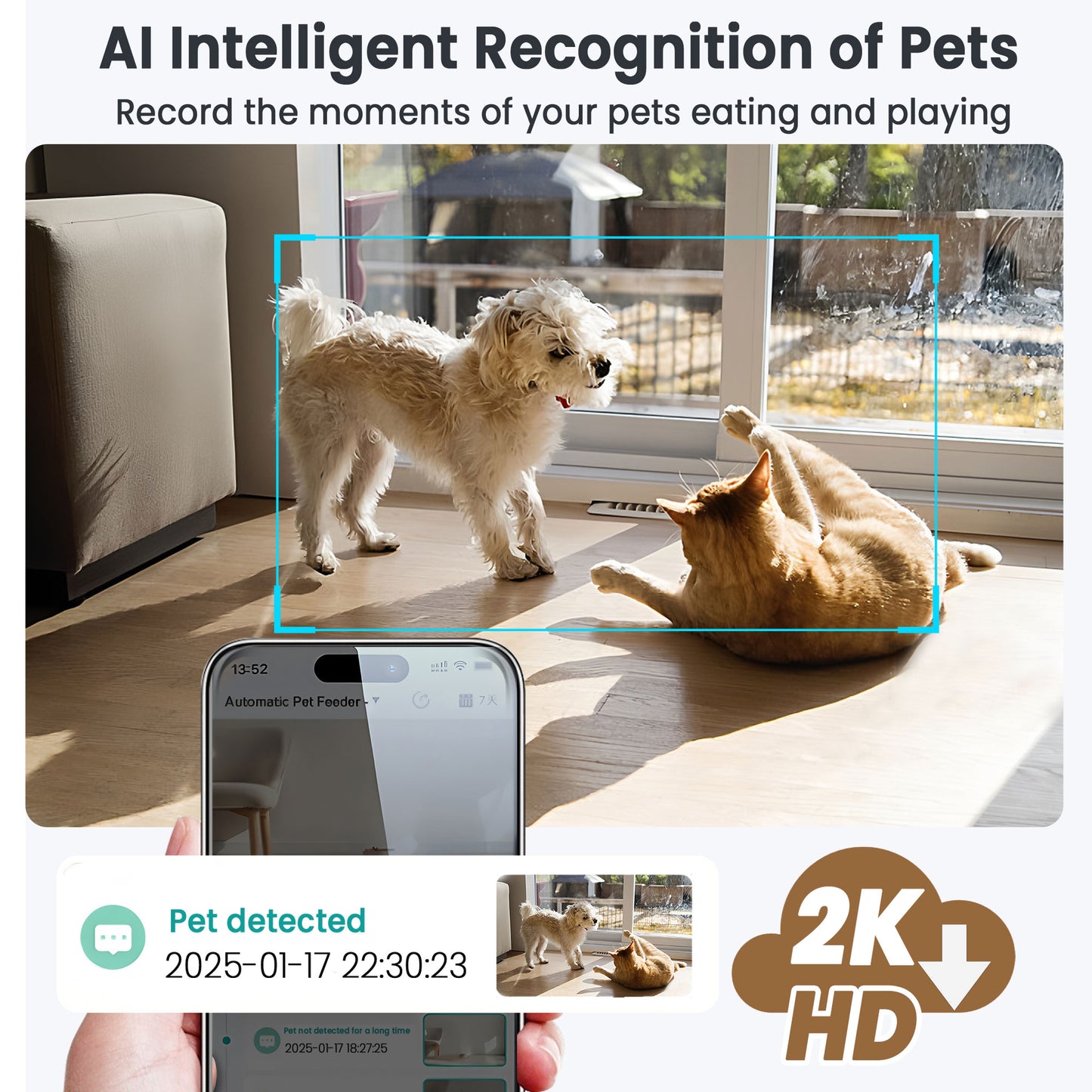 Automatic Cat Dog Feeder with Dual Cameras