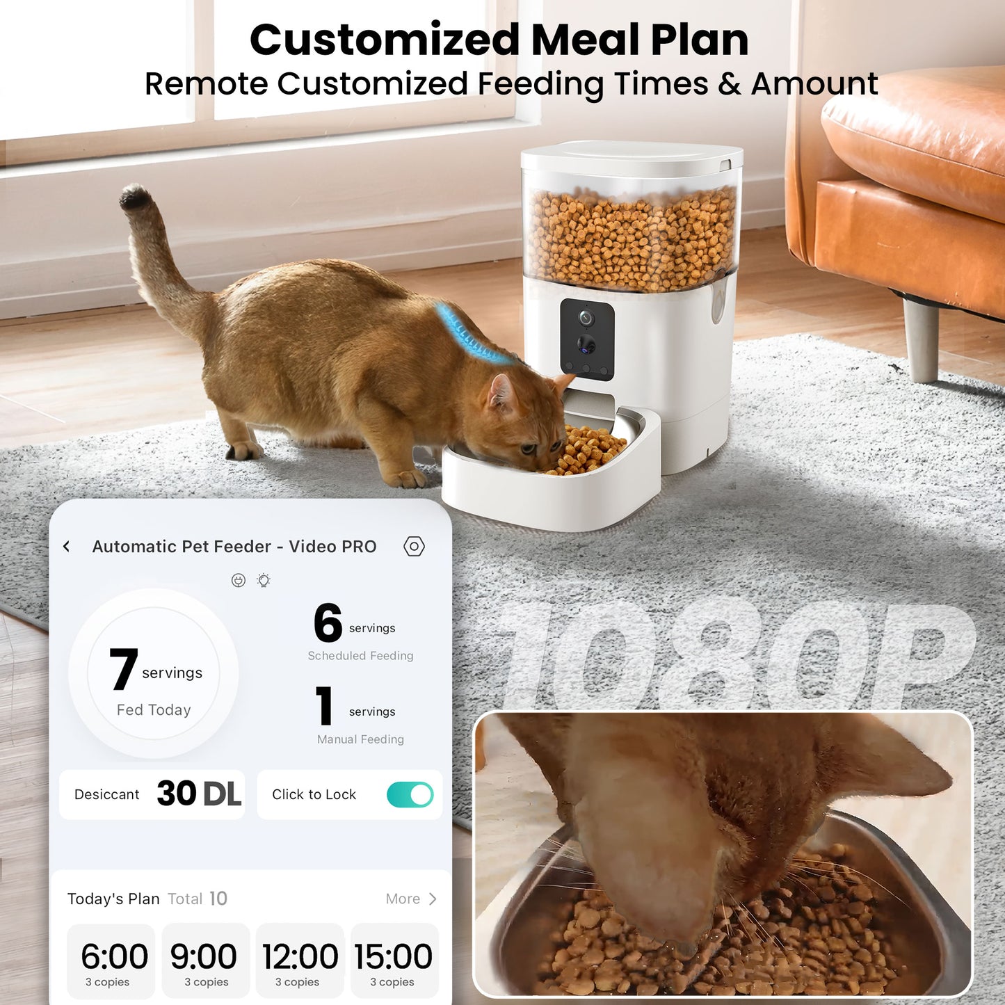 smart cat feeder with food bowl monitoring and timed feeding