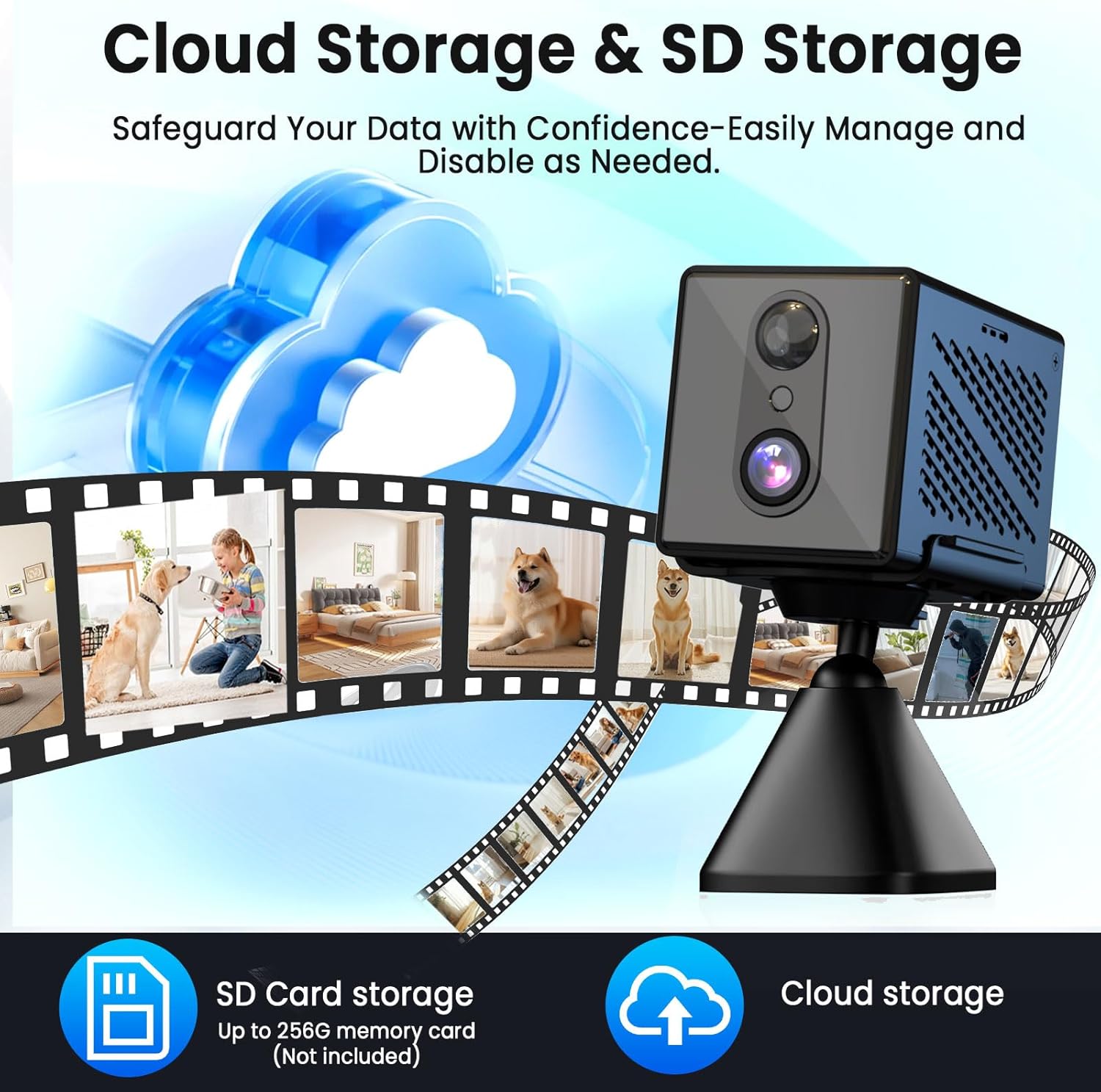 Camera with cloud and SD storage