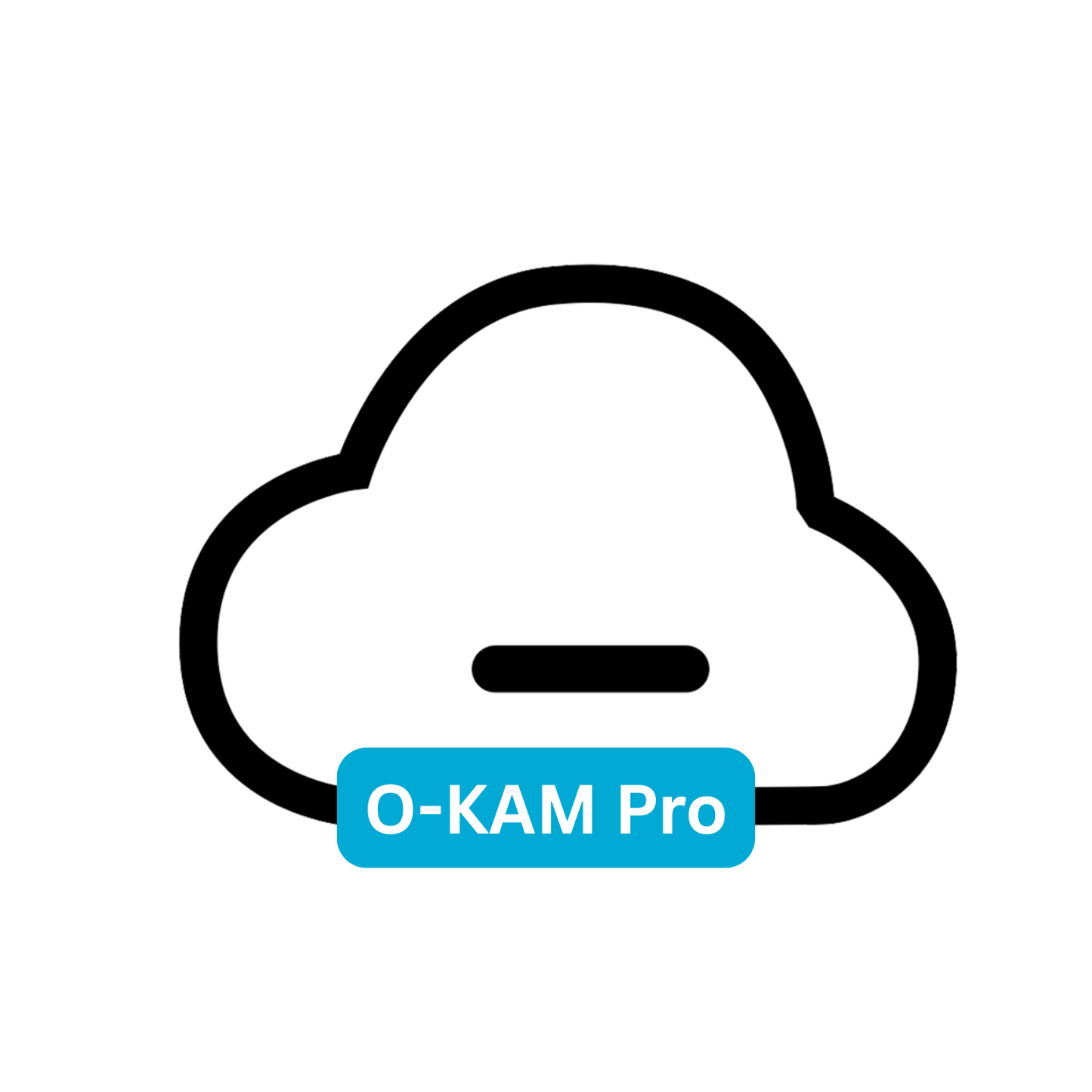 O-KAM Pro cloud storage - 30-day cycle in 6-month