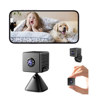 A3 2.4G Wi-Fi Mini Hidden Camera