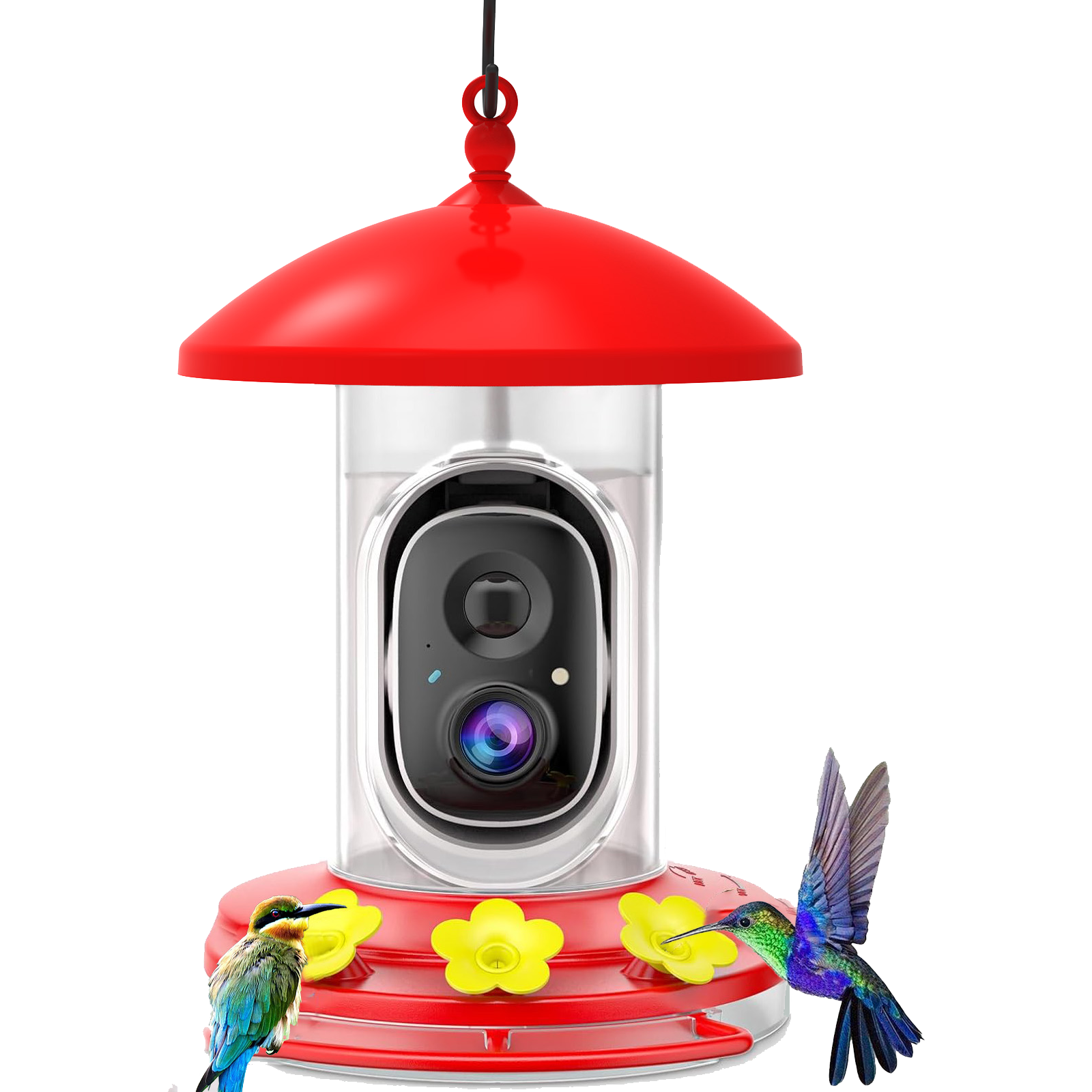 G01 AI Detection Bird Feeder Camera Javiscam g01-ai-detection-bird-feeder-camera-javiscam