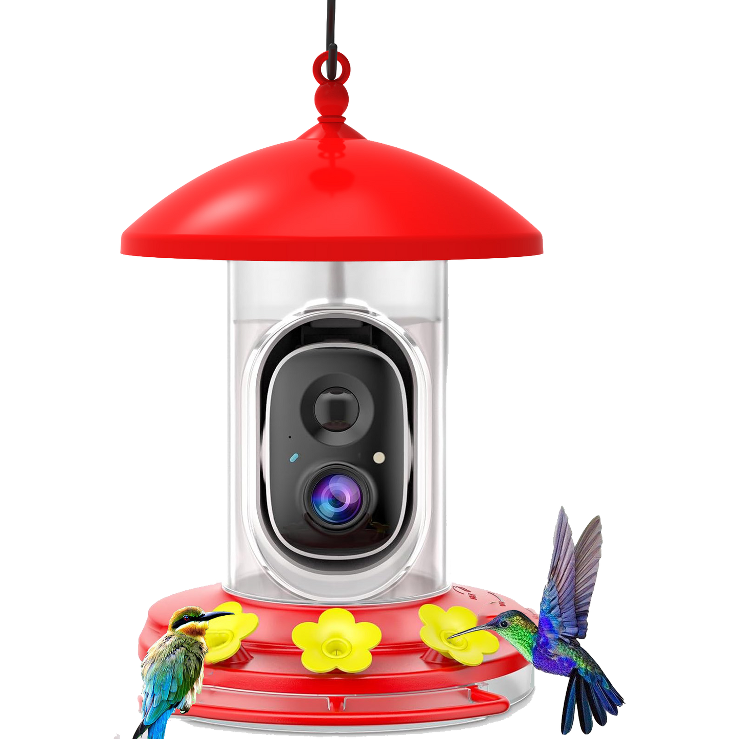 G01 AI detection bird feeder camera