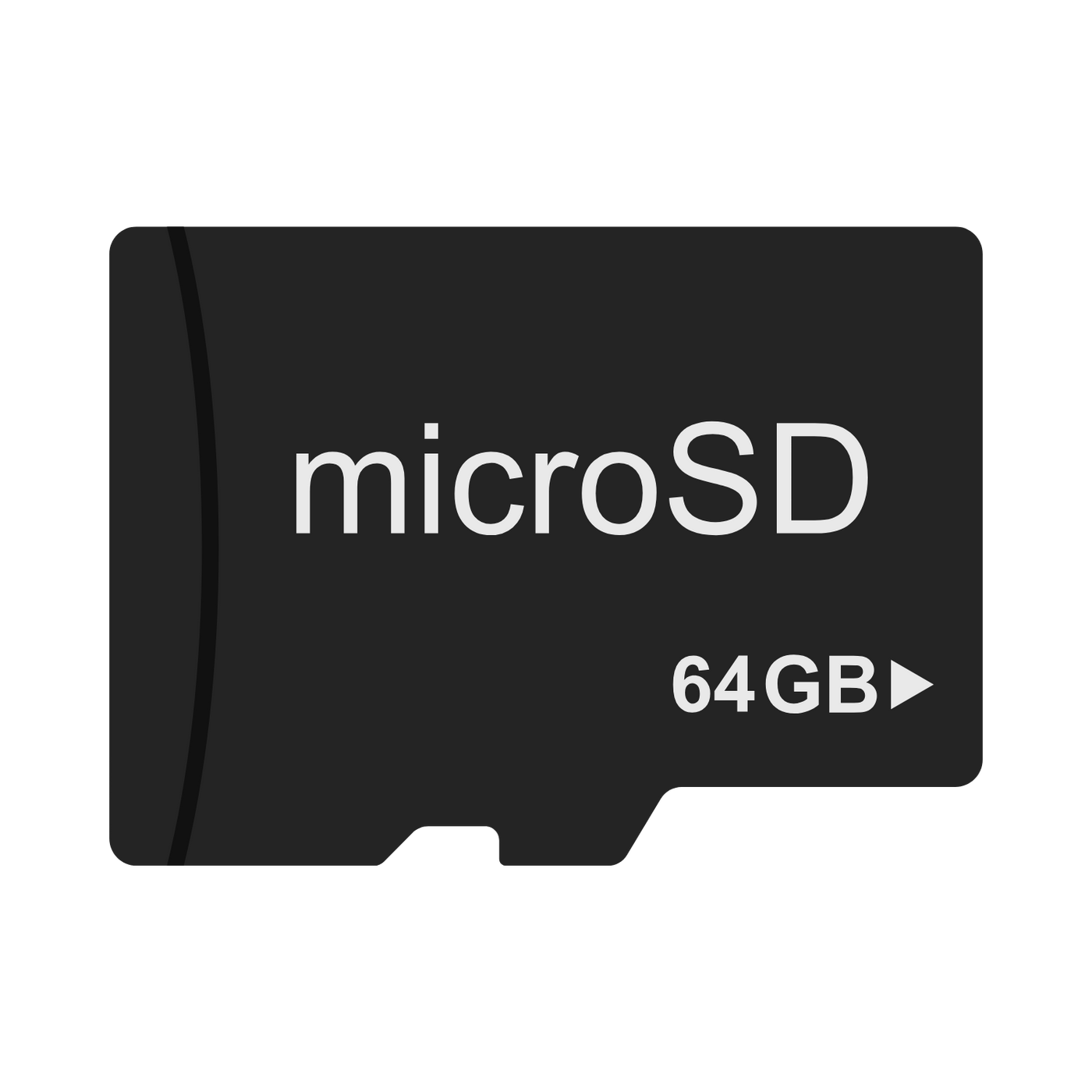 Micro SD Card 64GB – Javiscam
