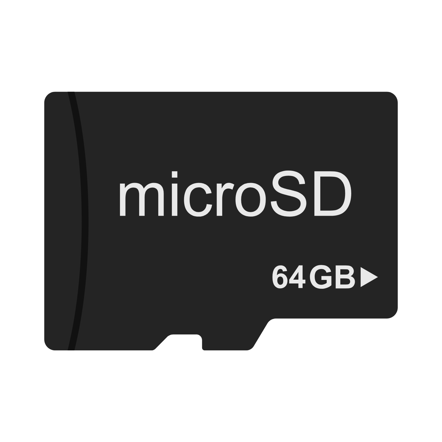 Micro SD Card 64GB